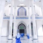 Explore Putrajaya Pink Mosque and Blue Mosque Shah Alam - Putra Mosque: pink domes and a self-guided visit