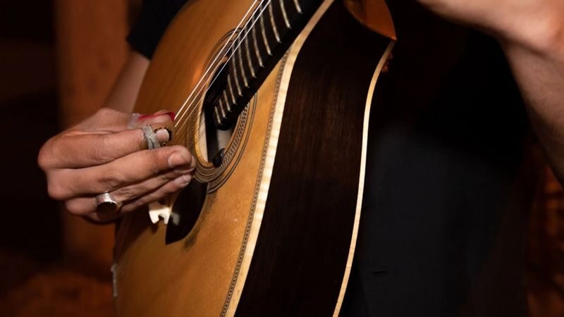 Fado Dinner Show & Night Tour - The meal: Portuguese dishes with options