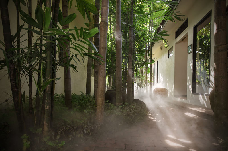 Fah Lanna Spa at the Night Bazaar branch in Chiang Mai - From check-in to tea after treatment