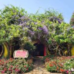 Fairytale Land and Vinh Tien Wine Cellar Ticket in Da Lat - See how Vinh Tien makes wine