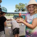 Farm Experience, Quad Biking and Horse Ride in Cairns - Quad biking on farm tracks