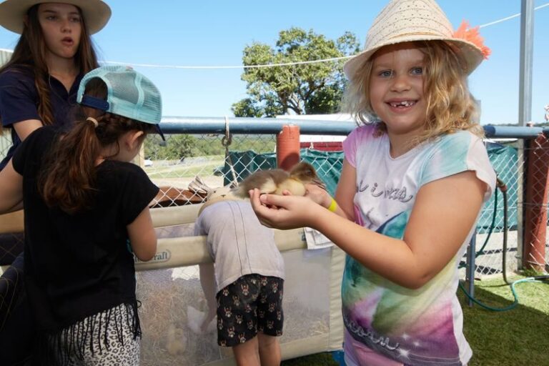 Farm Experience, Quad Biking and Horse Ride in Cairns - Quad biking on farm tracks