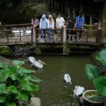 Farm In The City Ticket - Plan your route around activities