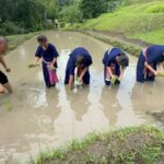 Farm Life Discovery From Soil to Table in Chaing Mai - Start with a spring above Mae Sa Valley