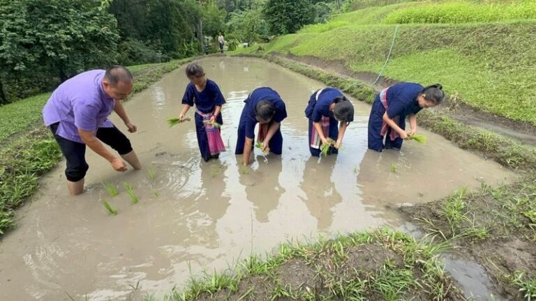 Farm Life Discovery From Soil to Table in Chaing Mai - Start with a spring above Mae Sa Valley