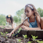 Farm Workshop at South Farm Panglao - Choose the workshop that fits your group