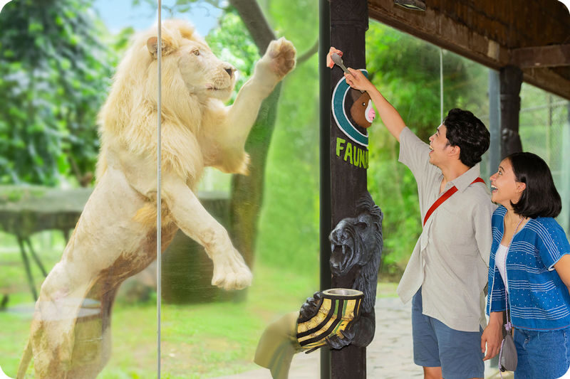 Faunaland Ancol Ticket in Jakarta - Plan your visit around the bird show