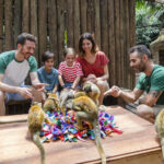 Faunia Nature Park Admission in Madrid - Make room for butterflies, beetles, and the Nest