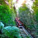 Featherdale and Scenic World Blue Mountains Tour with Korean Guides - Scenic World turns the views into a ride
