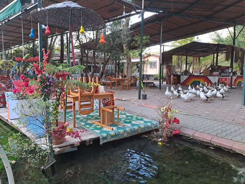 Fethiye Saklikent National Park Full-Day Adventure Tour - How the Fethiye day is meant to unfold