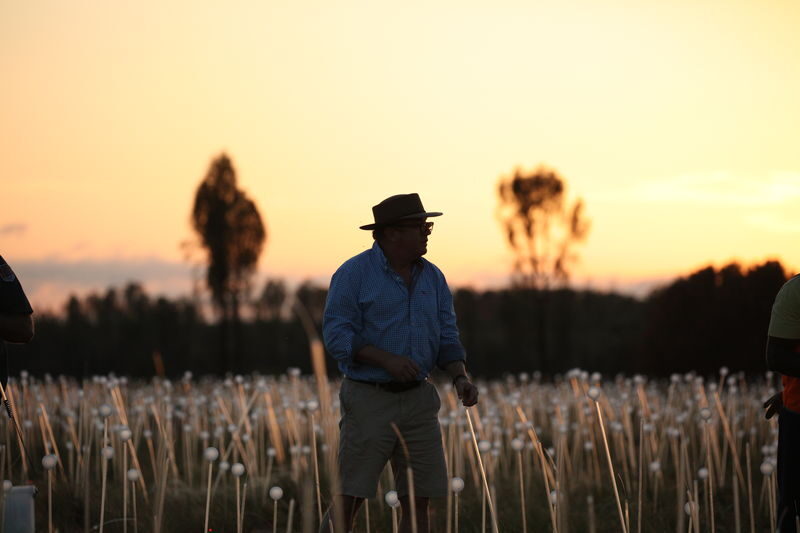 Field of Light Sunrise Tour - Watching Uluru catch the first light