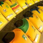 FIFA Museum Ticket in Zurich - Start with the World Cup story