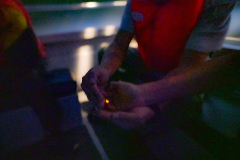 Fireflies Boat Cruise Experience in Kuala Selangor - What the 7:00 p.m. departure involves