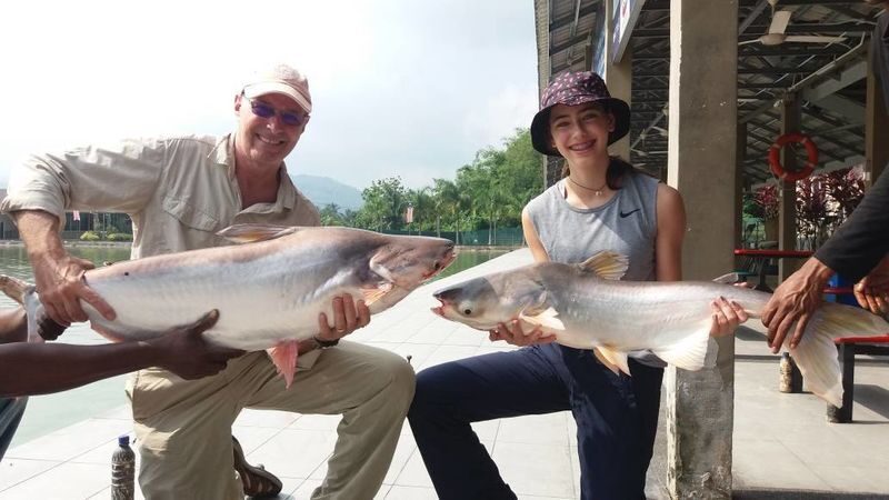 Fishing & Tackles at Hulu Langat Fishing Resort - The Fish: Big Possibilities, No Guaranteed Trophy