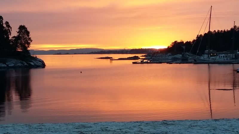 Fjord island hopping tour in Oslo - Hovedøya: shoreline, woodland, and a long human story