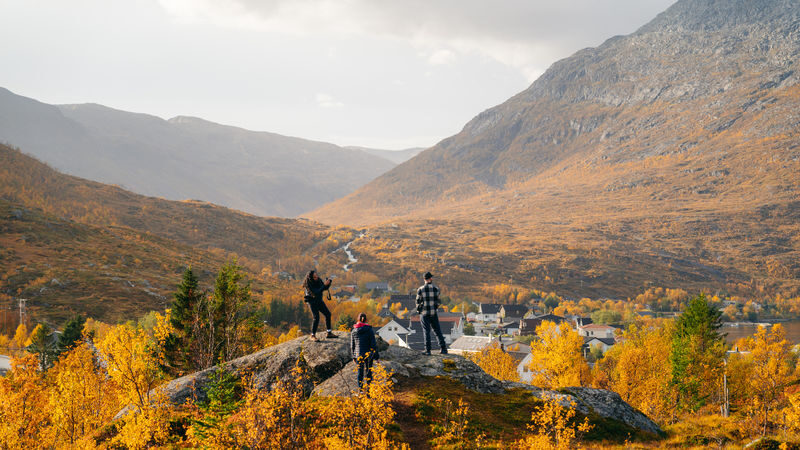 Fjord Tour with Lunch from Tromso - Three or four stops, chosen for the day