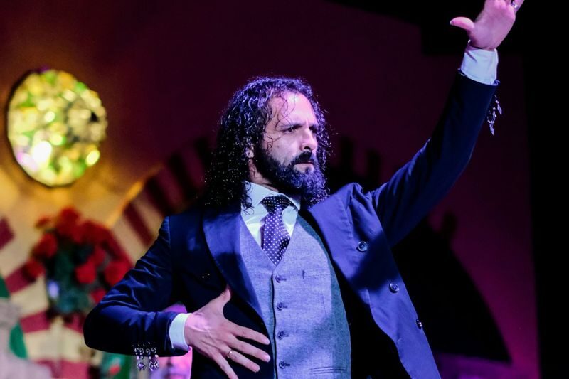 Flamenco show at El Palacio Andaluz in Seville - Dinner, cava, or show only