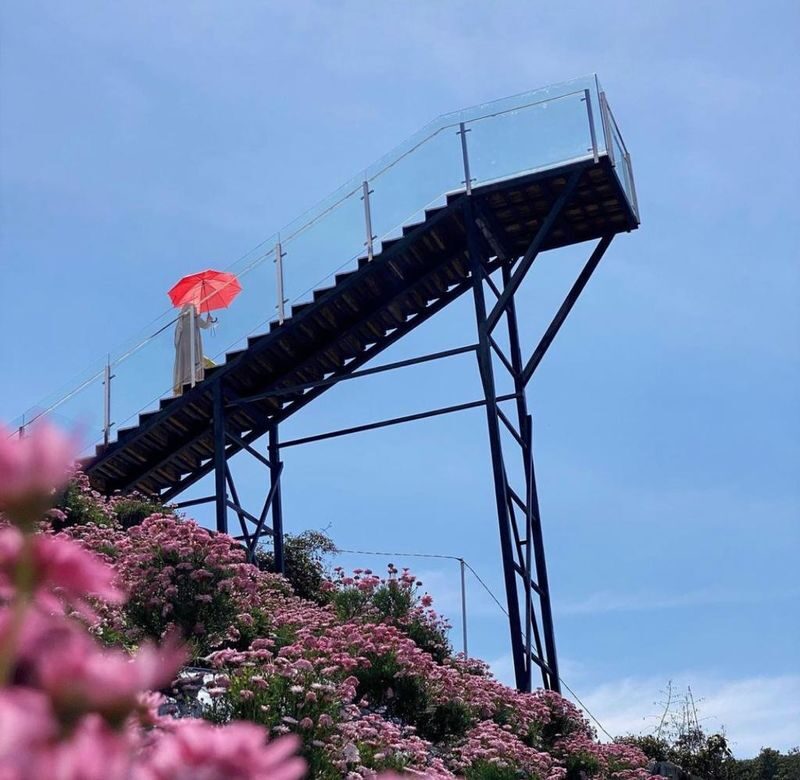 Flora Park Ticket in Cameron Highlands - Take the outdoor route at your own pace