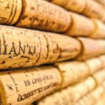 Florence to Chianti half day vineyard and wine tasting tour - What the wine tasting offers