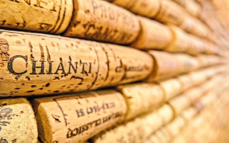 Florence to Chianti half day vineyard and wine tasting tour - What the wine tasting offers
