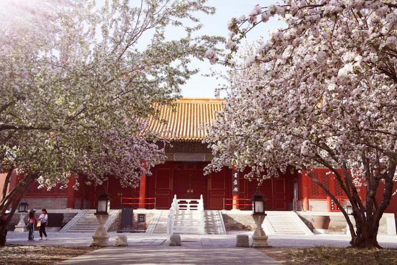 Forbidden City + Summer Palace Guided Day Tour | In-depth commentary - Three hours among the Forbidden City’s halls