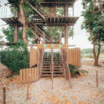 Forest Adventure Treetop Adventure - The Bedok Reservoir zip line