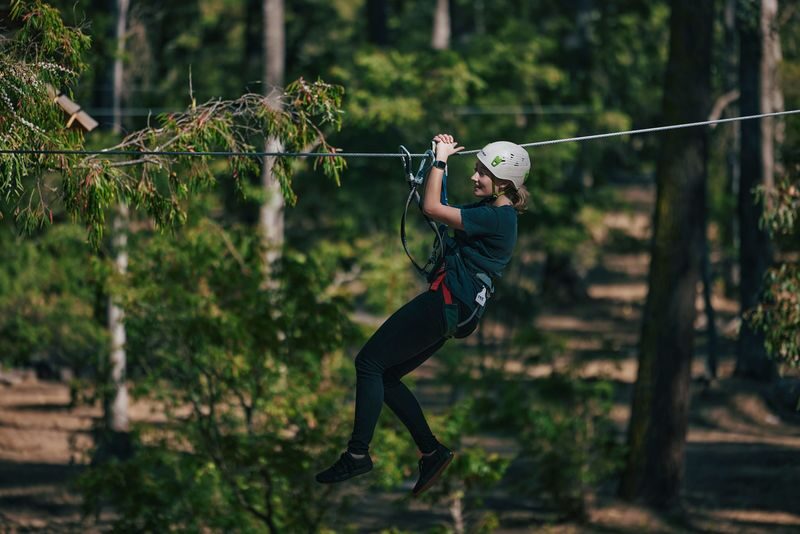 Forest Adventures Park Entry in Busselton - A briefing, then a choice of heights
