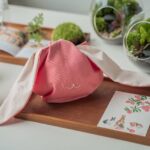 Forest in a Bottle Terrarium DIY Kit with Home Delivery in Malaysia - Turning the kit into a miniature forest