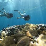 Four Spots Snorkelling Experience in Nusa Lembongan - What the half-day schedule feels like