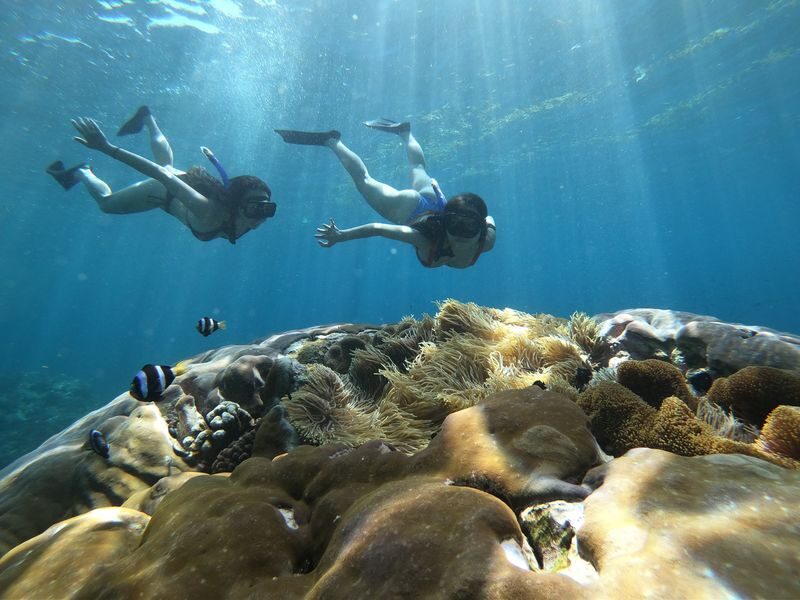 Four Spots Snorkelling Experience in Nusa Lembongan - What the half-day schedule feels like