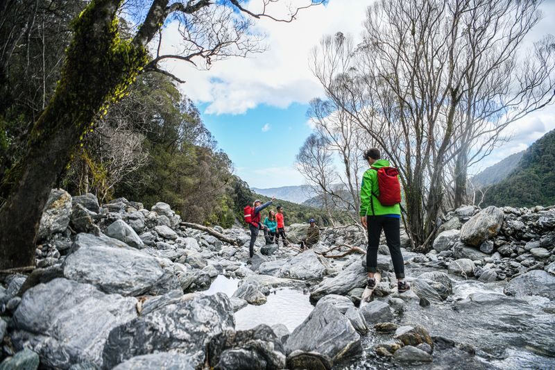Fox Glacier Valley E-Bike & Hike - A closer look at Mills Creek and the landslip