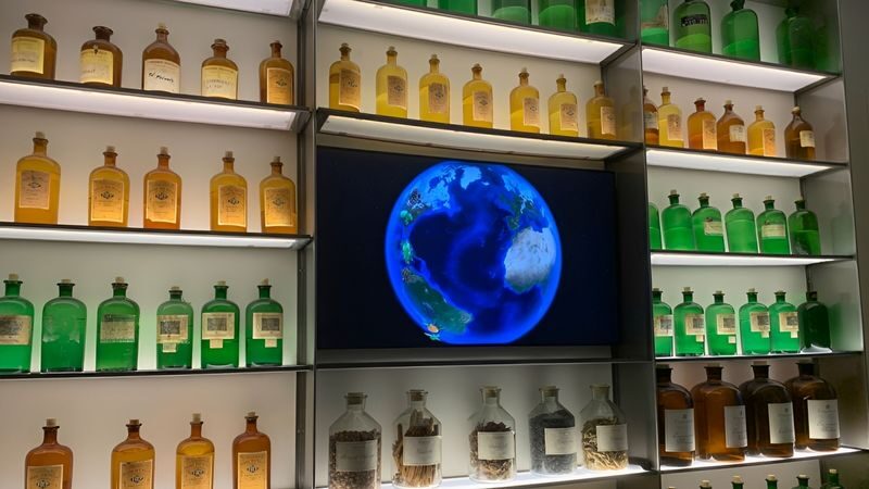 Fragonard Museum Mini-Perfume Workshop Experience Tour - What happens at the museum