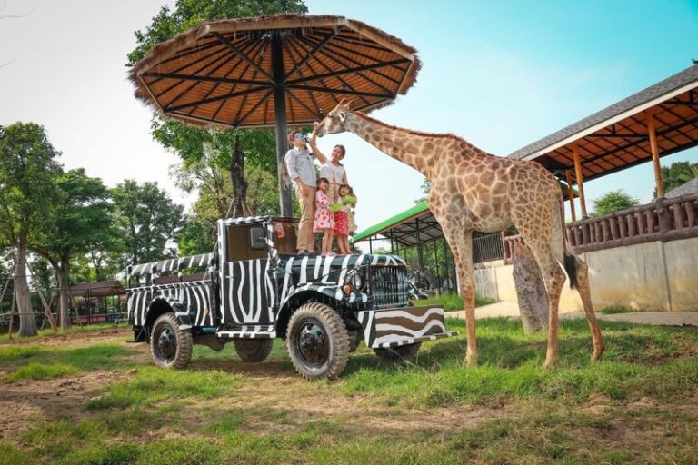 (Free eSIM) New Zoo in Ayuthaya & Must-See Temples & Thai Costume - Sriayuthaya Lion Park: allow time for animal extras
