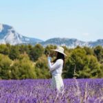 French Riviera Day (Monaco, Monte Carlo, Eze, Antibes, Cannes) - Cannes: film glamour and a quick look at the Croisette