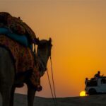 Frenzy Paradise Overnight Thar Desert Camping Tour - Camel and jeep time in the Thar
