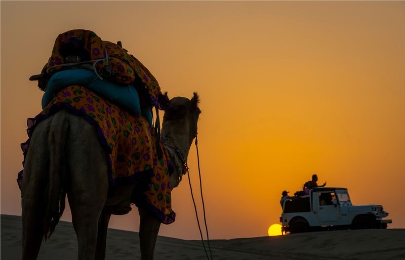 Frenzy Paradise Overnight Thar Desert Camping Tour - Camel and jeep time in the Thar