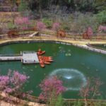 Fresh Garden and Fresh Zoo Ticket in Da Lat City - Starting among the flower beds