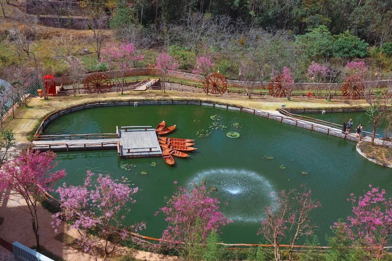 Fresh Garden and Fresh Zoo Ticket in Da Lat City - Starting among the flower beds