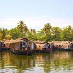 From Cochin: Munnar & Alleppey Private Tour with Hotels + Houseboat - Day 2: Tea, wildlife and high viewpoints