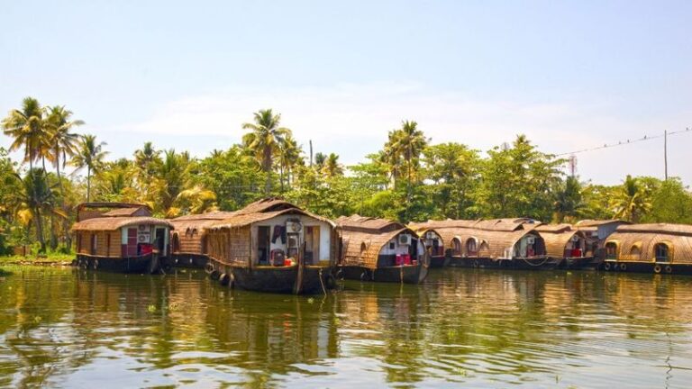 From Cochin: Munnar & Alleppey Private Tour with Hotels + Houseboat - Day 2: Tea, wildlife and high viewpoints