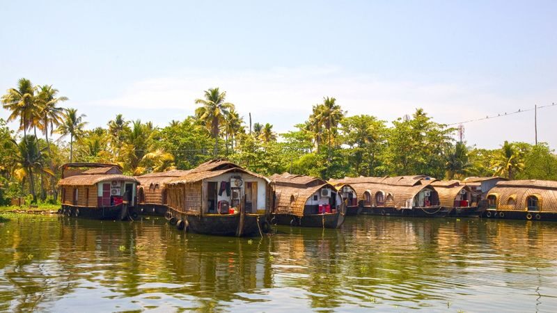 From Cochin: Munnar & Alleppey Private Tour with Hotels + Houseboat - Day 2: Tea, wildlife and high viewpoints