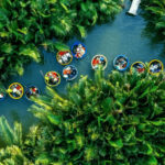 From Da Nang: Marble Mountains, Coconut Forest Basket Boat & Hoi An Ancient Town Tour - The coconut forest brings the day’s most playful ride
