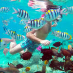 From Gili Terawangan: Island Hopping Snorkeling Trip - What the snorkeling stops offer