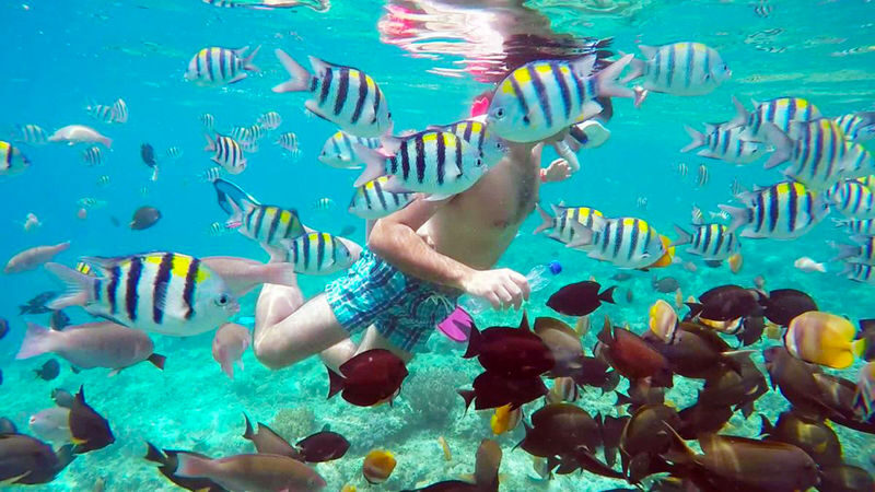 From Gili Terawangan: Island Hopping Snorkeling Trip - What the snorkeling stops offer