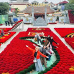 From Hanoi to Ninh Binh Private Day Tour: Incense Village, Hoa Lu & Van Long Wetland - Starting with Quang Phu Cau’s incense