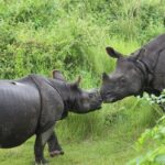 From Kathmandu: 3-Day Wildlife Safari Adventure Tour - Day one: the road to Sauraha