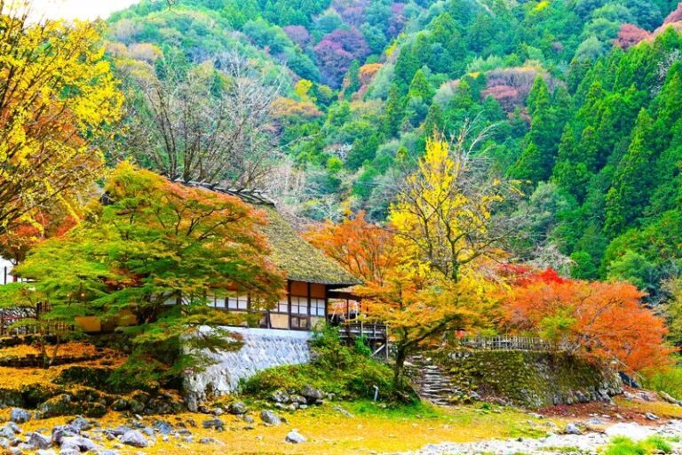 From Nagoya: Korankei Gorge &Toyokawa Inari - A taste of Hatcho miso at a historic maker