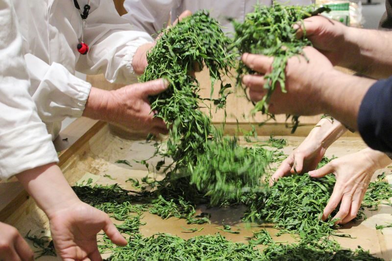 From Nagoya: Wagashi Workshop & Matcha Tea Field Tour - Start with wagashi in Nagoya