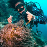 From Phi Phi: Discover Scuba Diving (2 Dives) - What the half-day schedule looks like