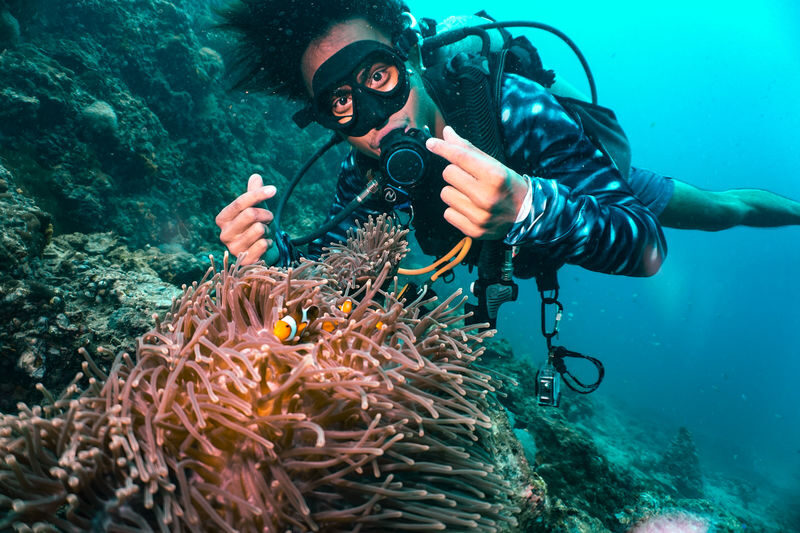 From Phi Phi: Discover Scuba Diving (2 Dives) - What the half-day schedule looks like